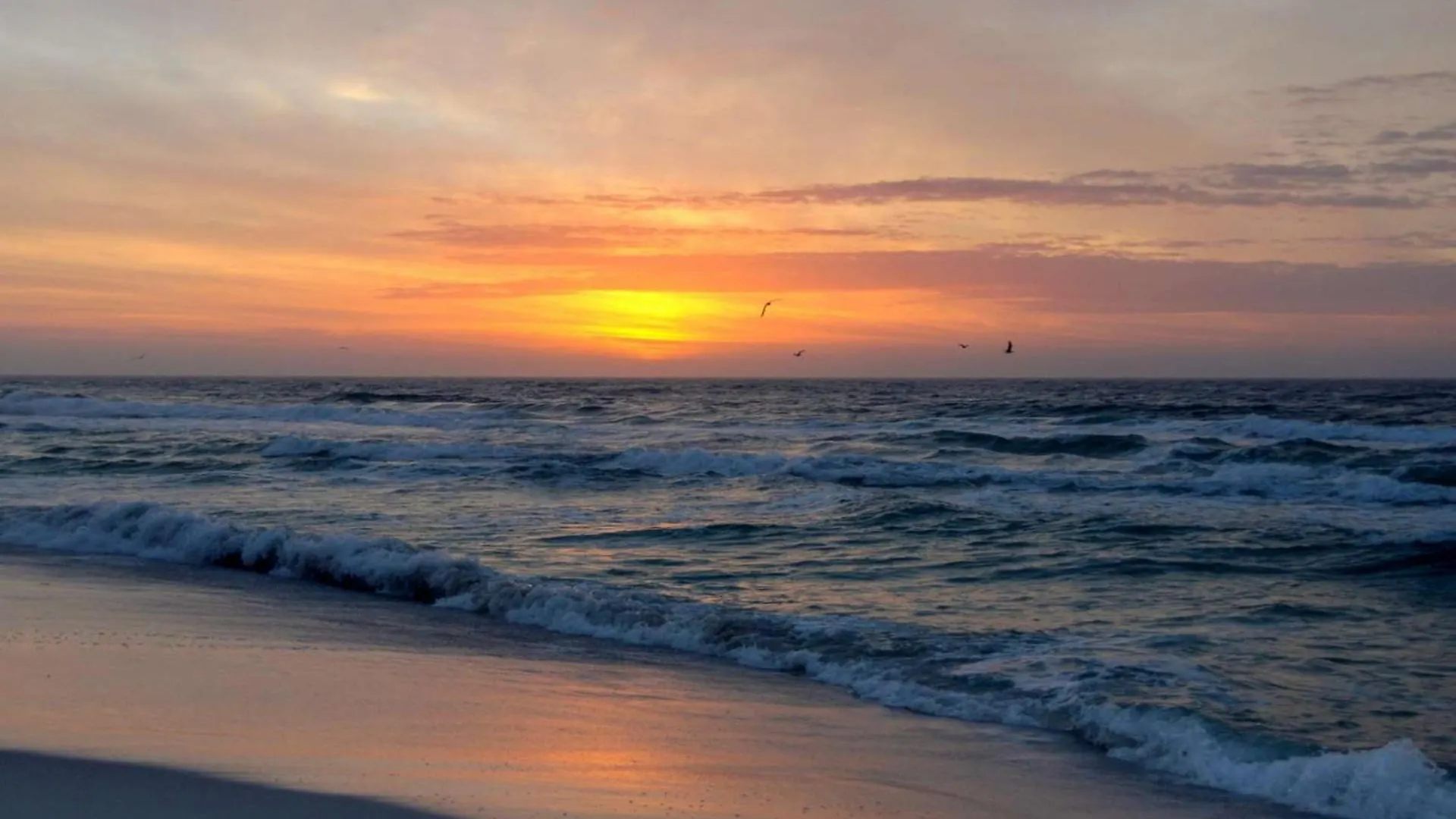 Sand Castle Villas 1 Panama City Beach 0*,